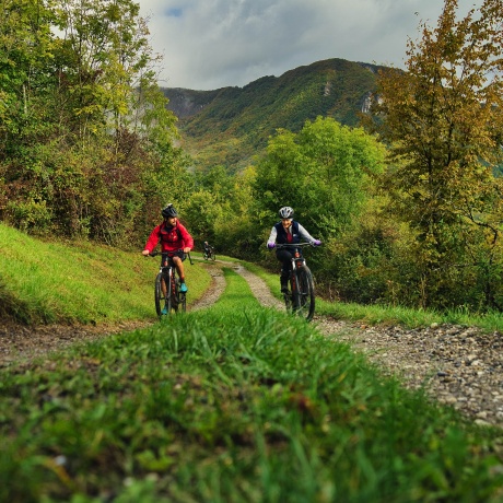 Half-day mountain bike tour - The Land of the "Vin de la Mort"