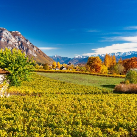 Visit the vineyards of Savoie on a tour with private driver - Full Day