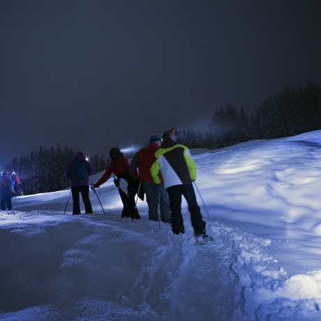 Dinner in a mountain refuge with Snowshoeing under the stars